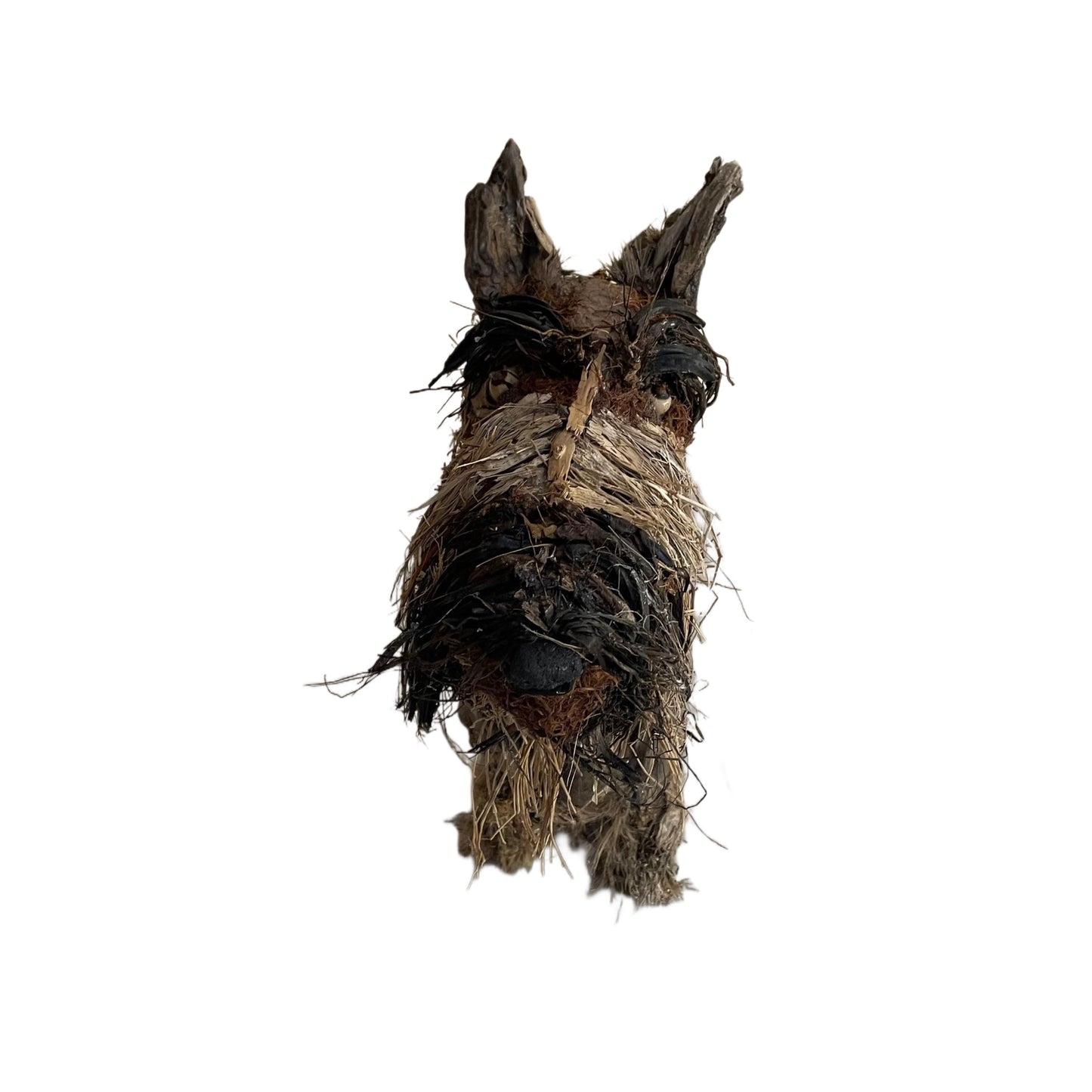 Rudy, Scottish Terrier