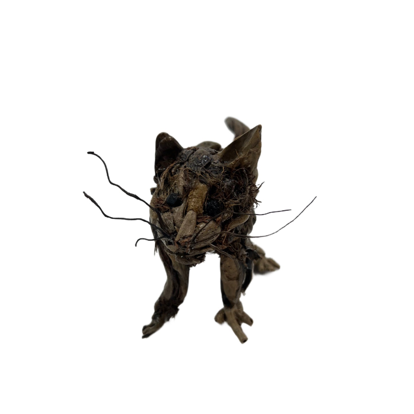 Le Petit Chat