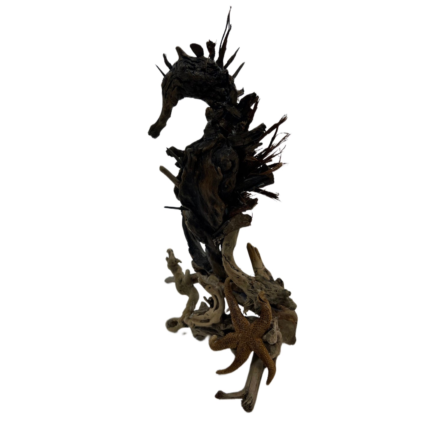 Sea Horse