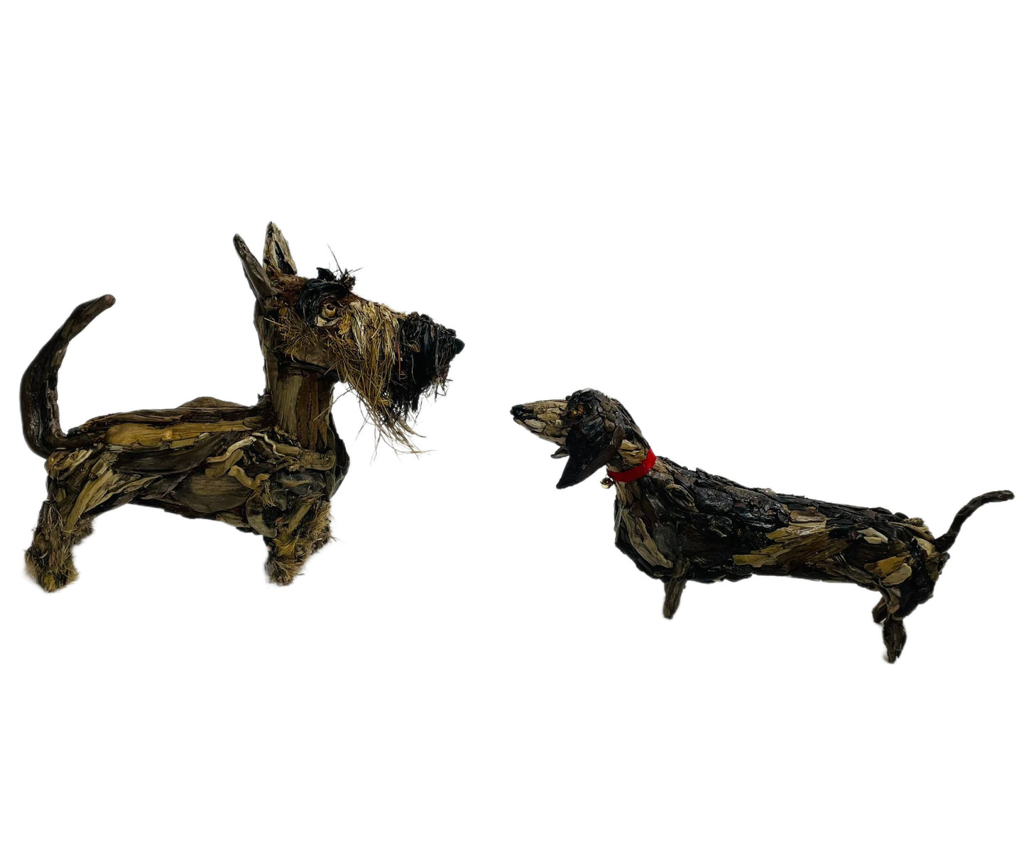 Rudy, Scottish Terrier