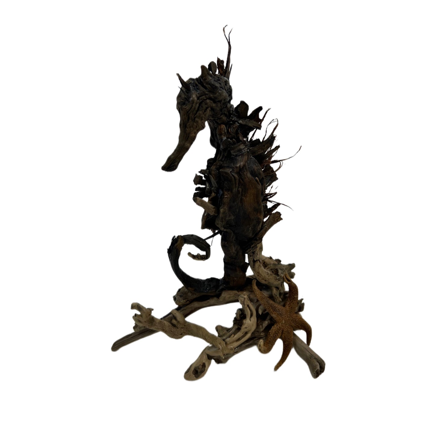 Sea Horse