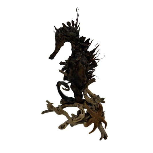 Sea Horse