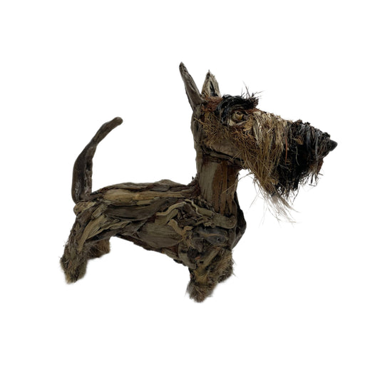 Rudy, Scottish Terrier