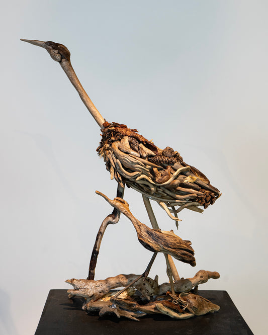 Herons